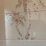 Apartment Casa Di Rosa Cureggio