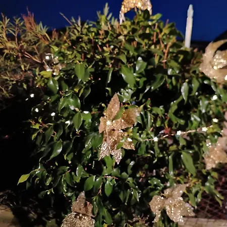 Casa Di Rosa Apartamento *